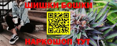 индика Боровичи