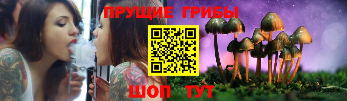 Псилоцибиновые грибы мицелий Бузулук